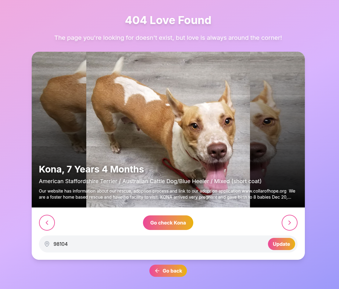 404 Love Found